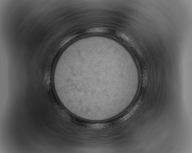 X0000093371017200711081520