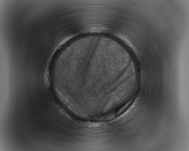 X0000093371018200711081520
