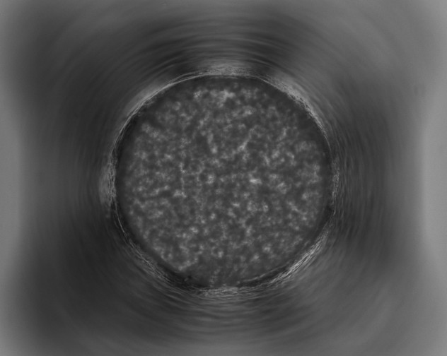 X0000093371019200711081520