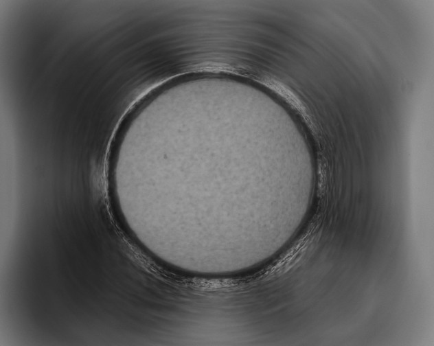 X0000093371020200711081520