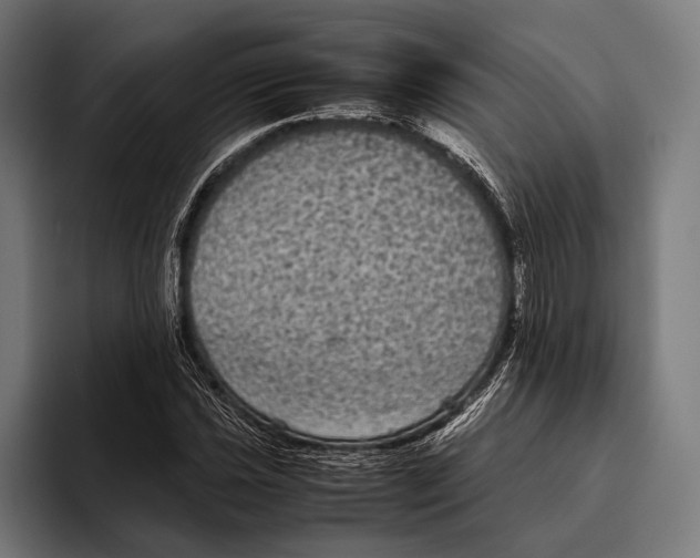 X0000093371021200711081520