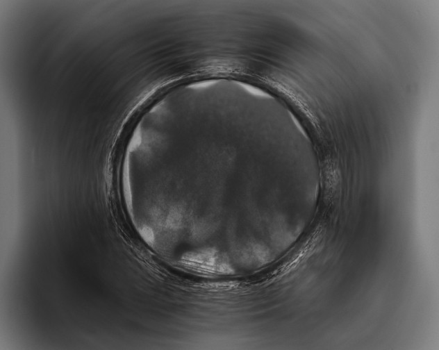 X0000093371023200711081520