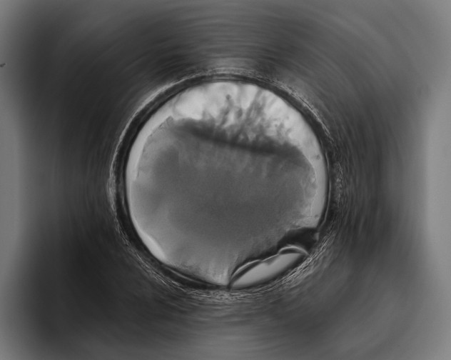 X0000093371024200711081520