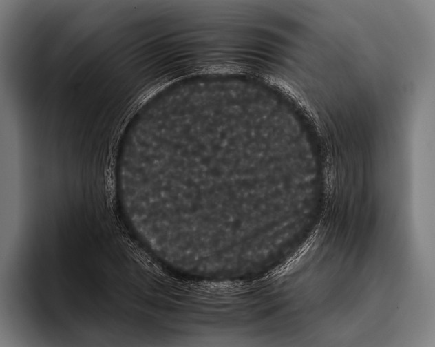 X0000093371025200711081520