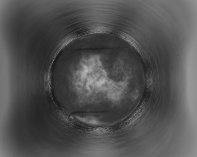 X0000093371026200711081520