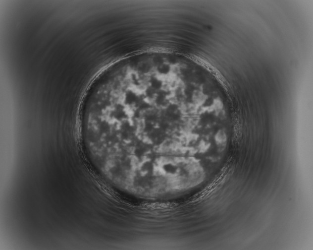 X0000093371027200711081520