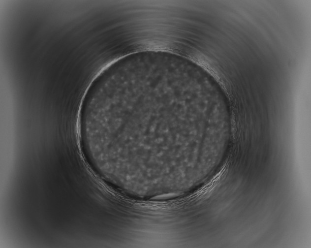 X0000093371028200711081520