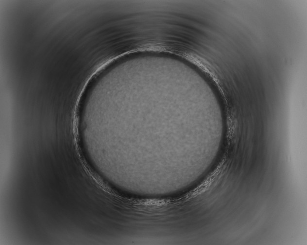 X0000093371029200711081520