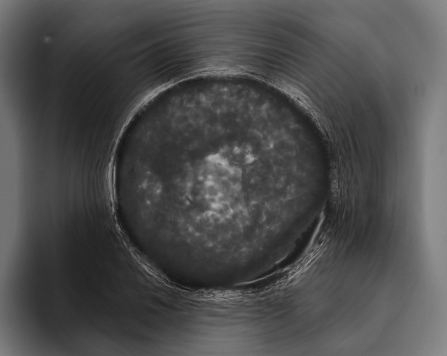 X0000093371030200711081520