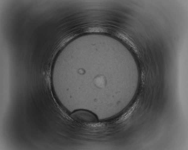 X0000093371033200711081521