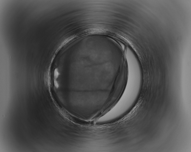 X0000093371034200711081521