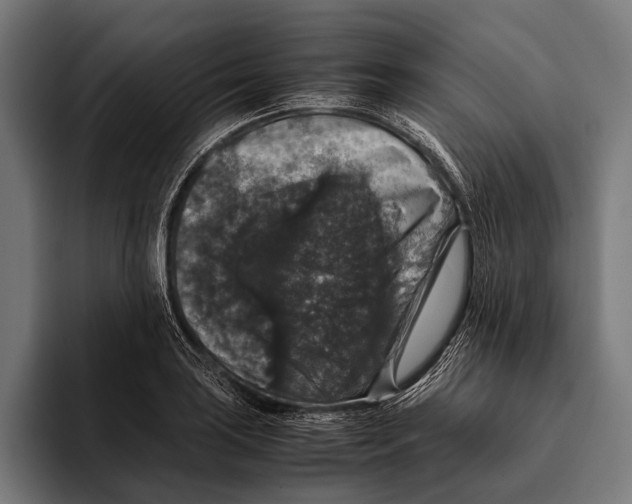 X0000093371035200711081521