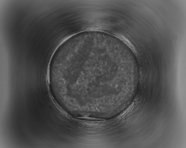 X0000093371036200711081521