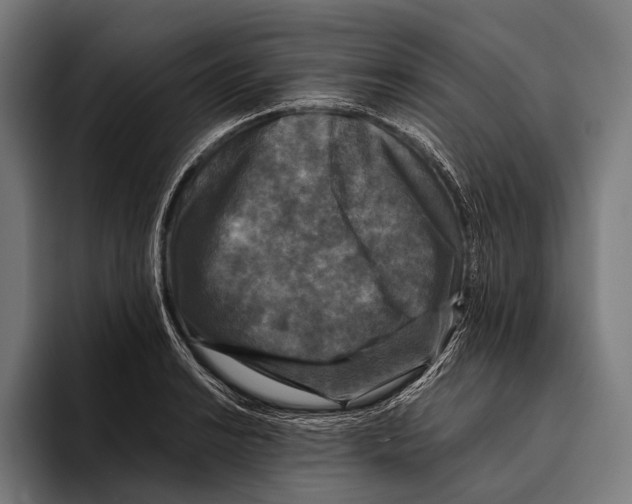 X0000093371038200711081521