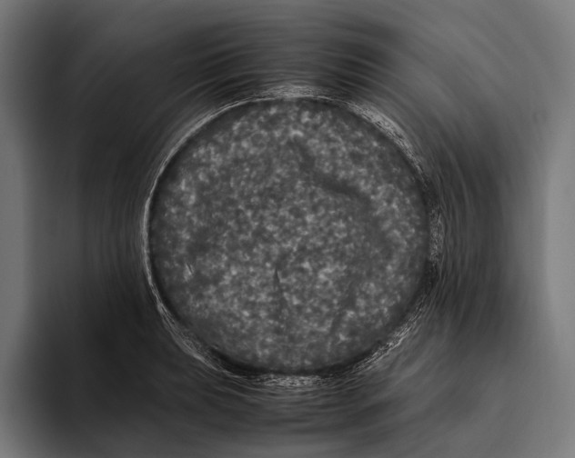 X0000093371039200711081521