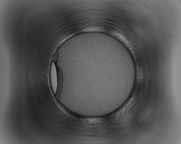 X0000093371041200711081521