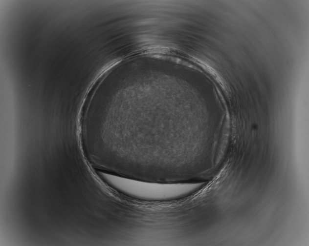 X0000093371042200711081521