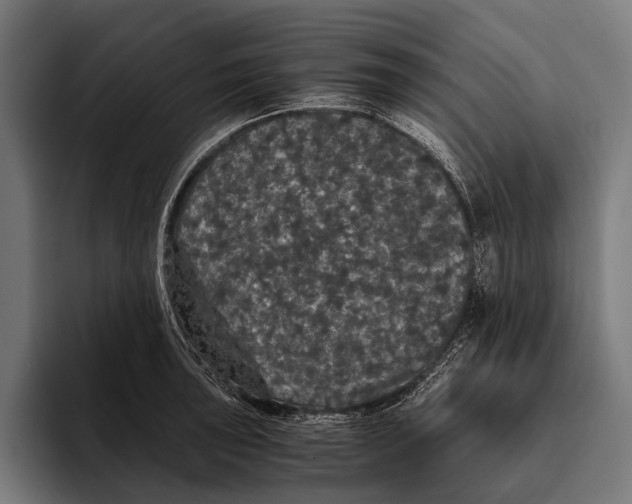 X0000093371043200711081521