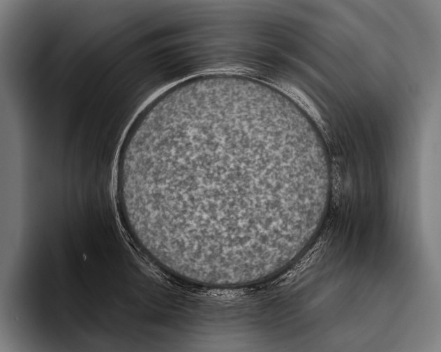X0000093371044200711081521