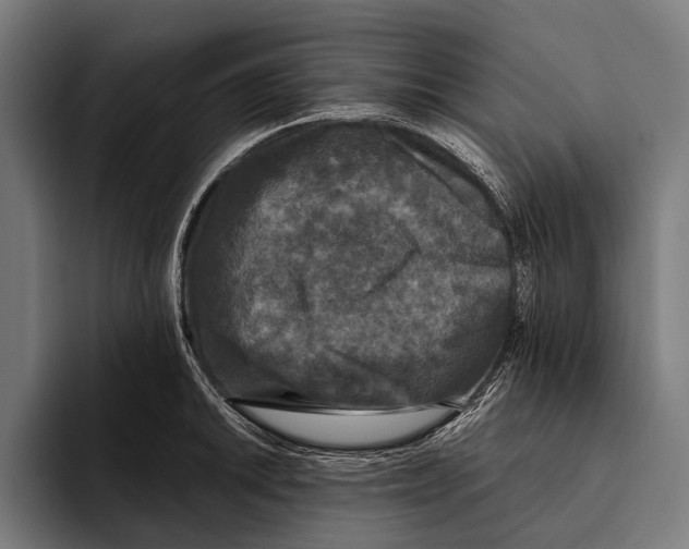 X0000093371046200711081521