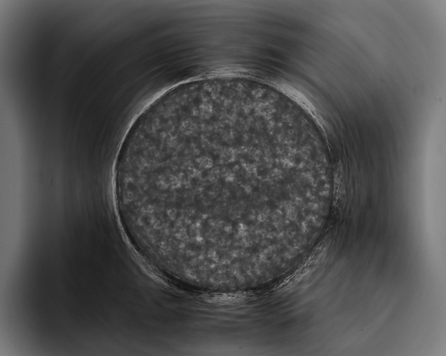 X0000093371047200711081521