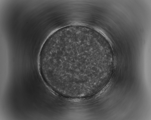 X0000093371048200711081521