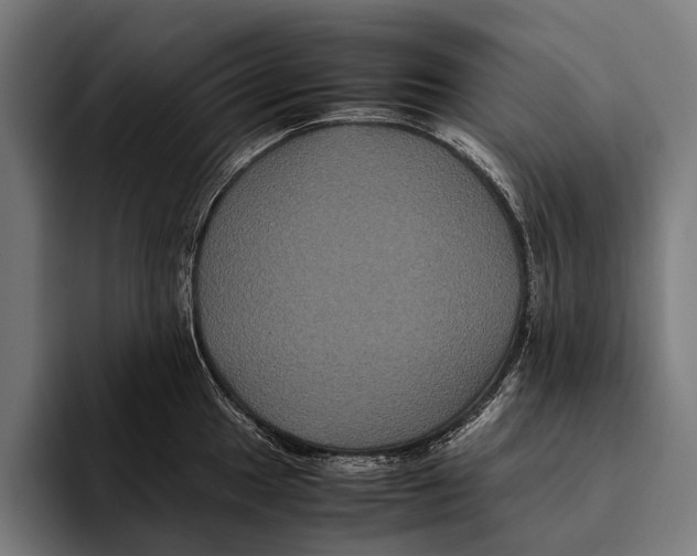 X0000093371049200711081521