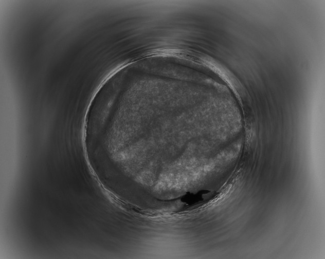 X0000093371050200711081521