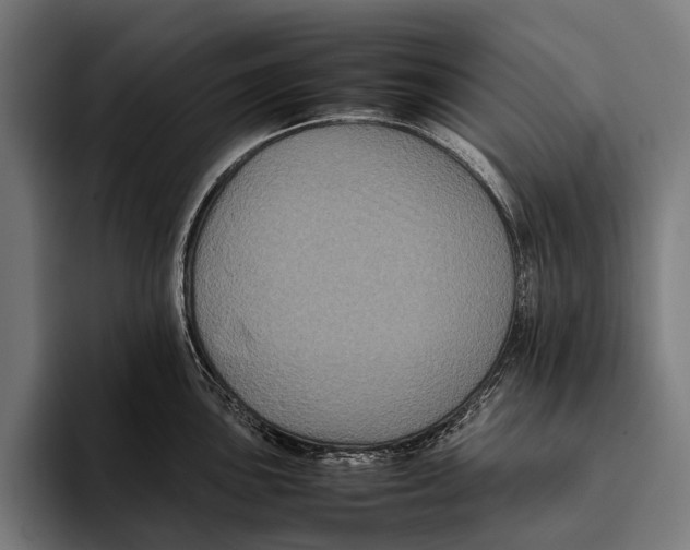 X0000093371051200711081521