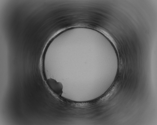 X0000093371053200711081521