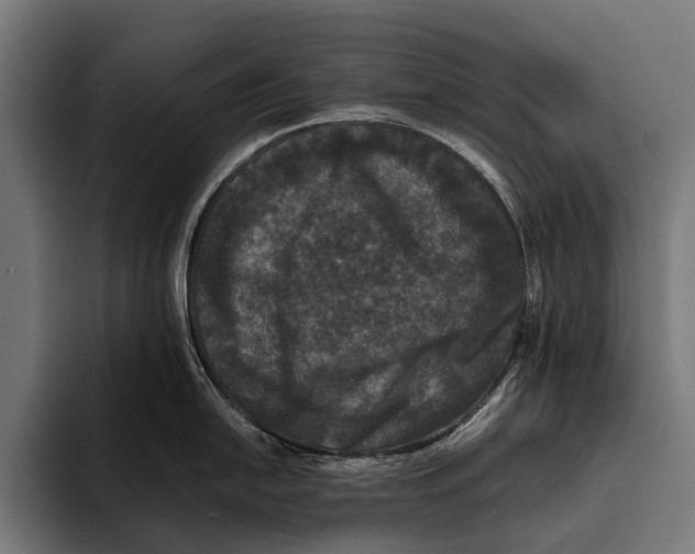 X0000093371054200711081521