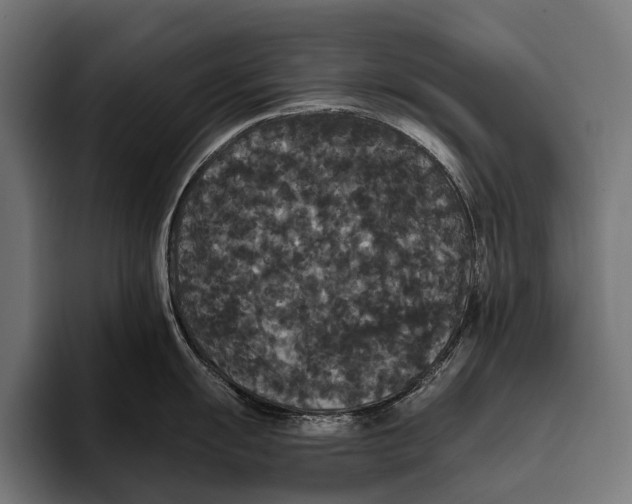 X0000093371055200711081521