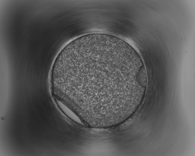 X0000093371056200711081521