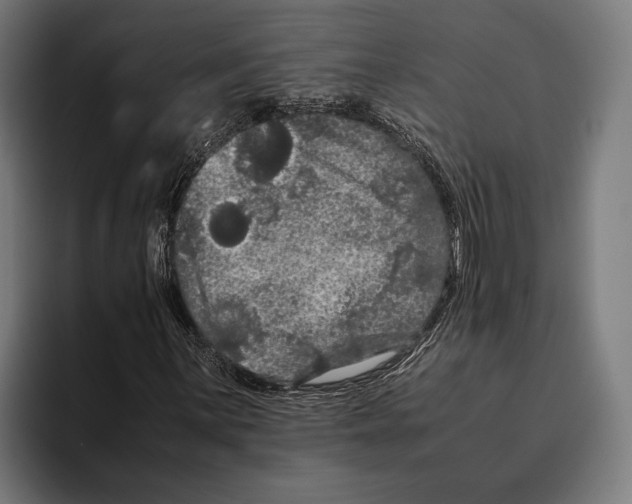 X0000093371059200711081520