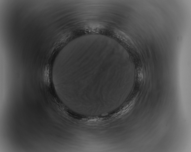 X0000093371060200711081520
