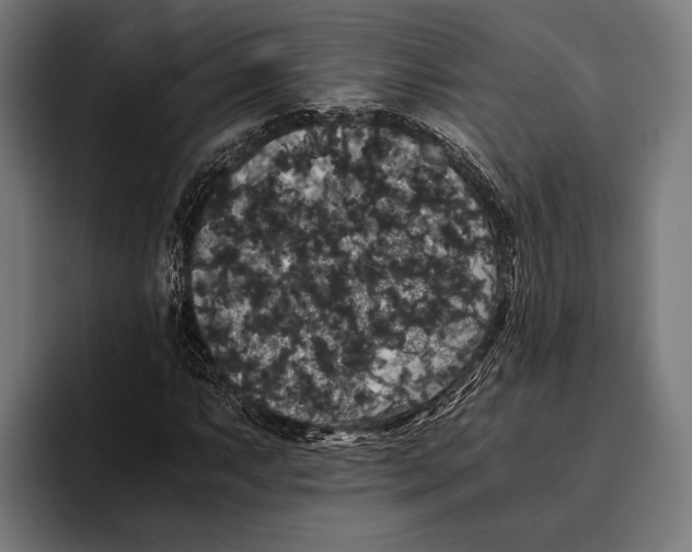 X0000093371063200711081520