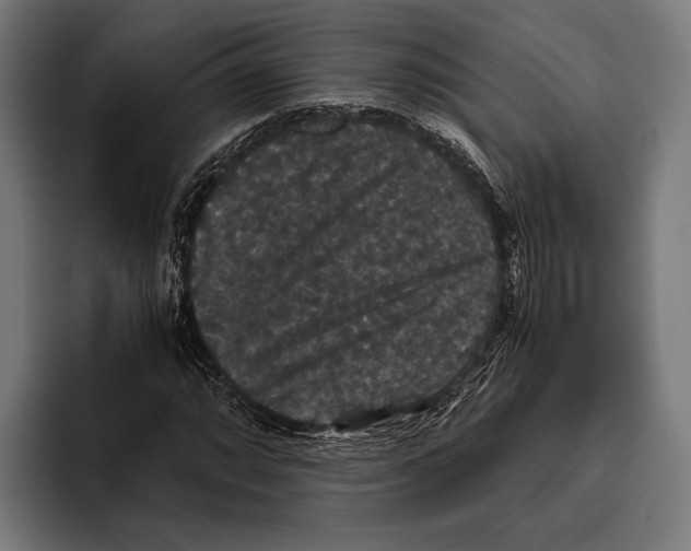 X0000093371064200711081520