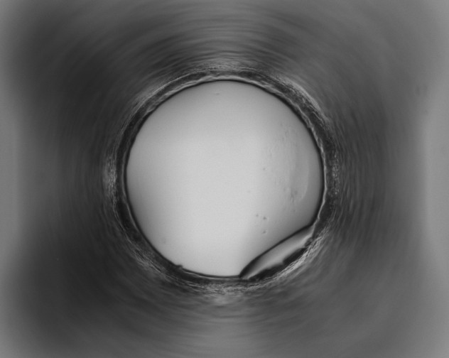 X0000093371065200711081520