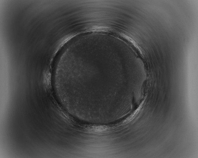 X0000093371066200711081520