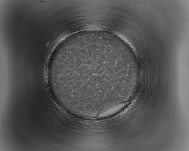 X0000093371067200711081520
