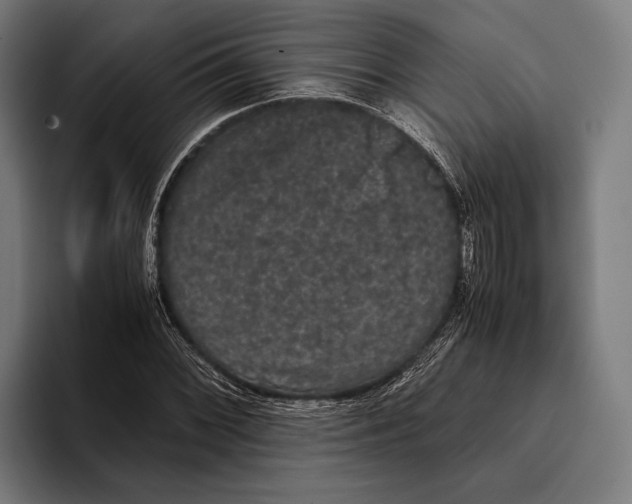 X0000093371068200711081520