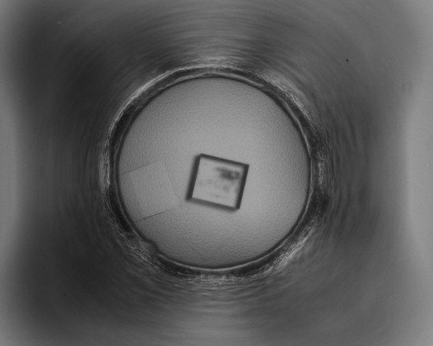 X0000093371069200711081520