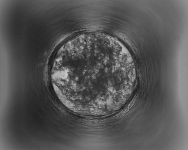 X0000093371071200711081520
