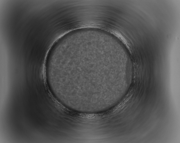 X0000093371072200711081520