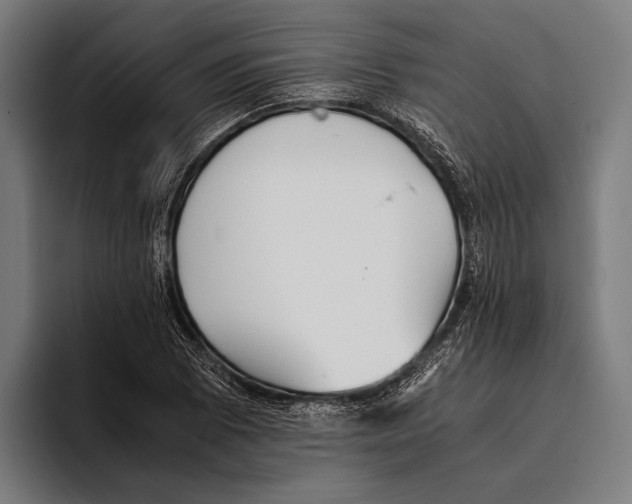 X0000093371073200711081520