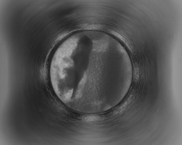 X0000093371074200711081520
