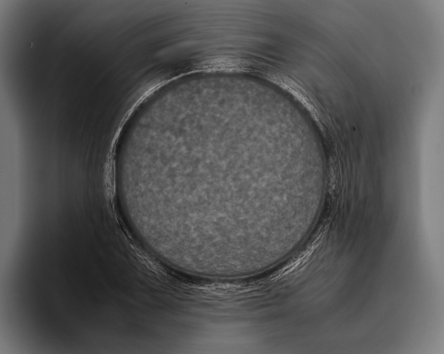X0000093371075200711081520