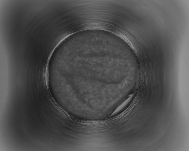 X0000093371076200711081520