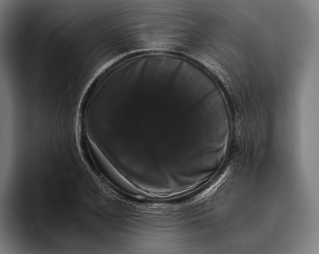 X0000093371077200711081520