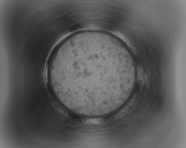 X0000093371078200711081520